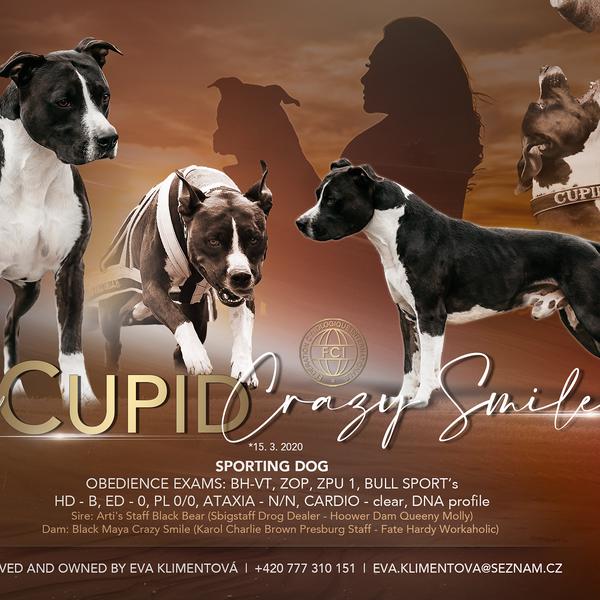 Cupid Crazy Smile