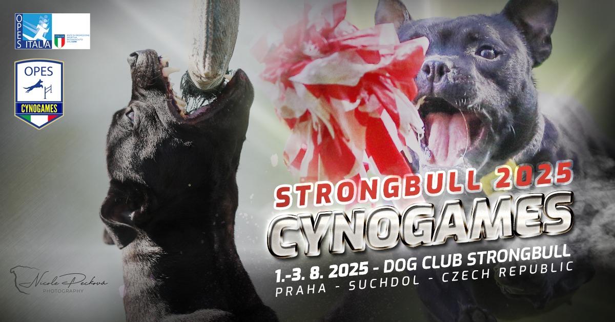 CYNOGAMES - Strongbull 2025