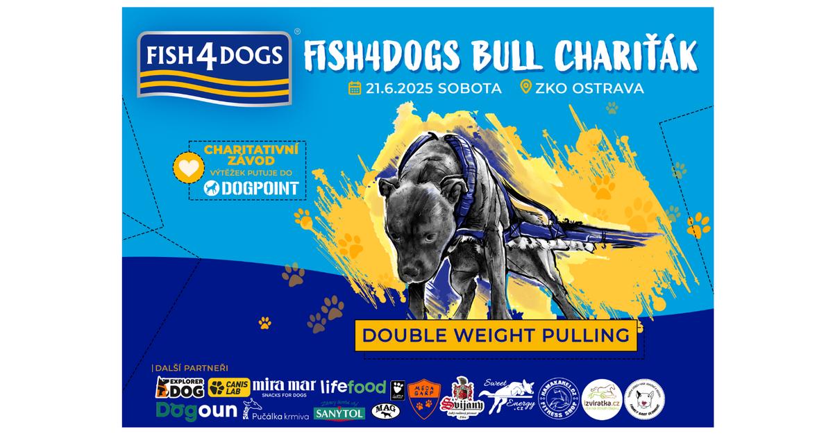 Bull Chariťák - Fish4Dogs Weight Pulling