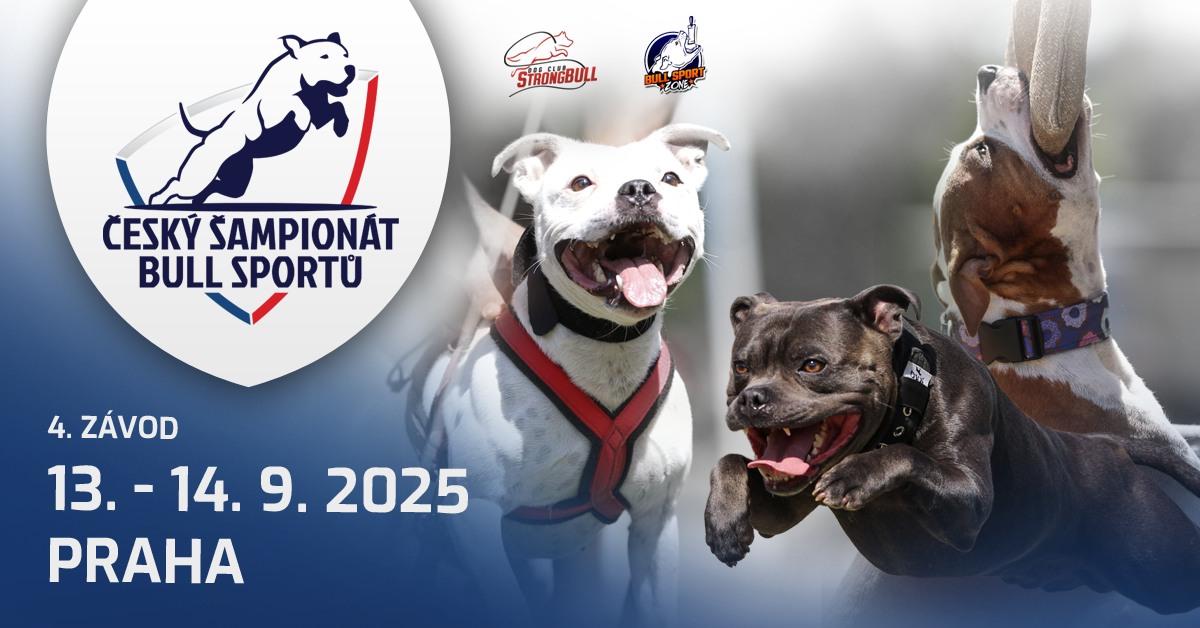 Český Šampionát Bull Sportů IV